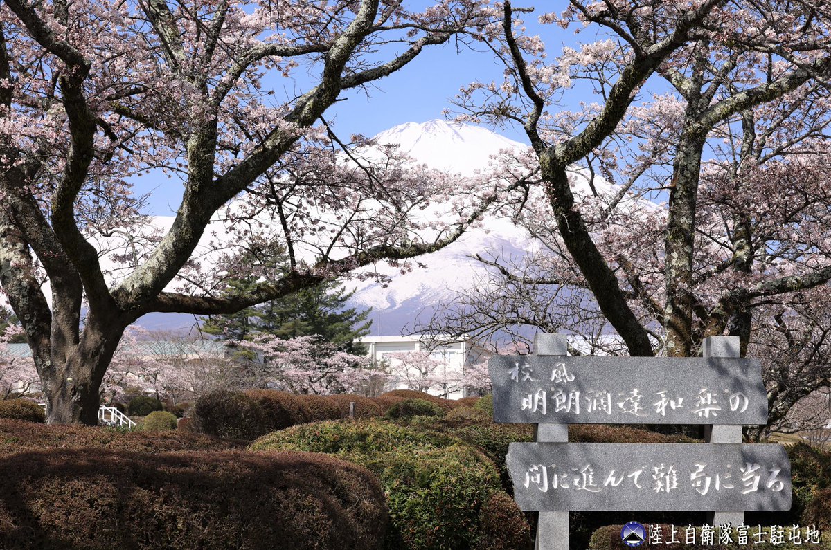 【富士駐屯地の四季 ～春～】 桜前線が富士山の麓から到達し、標高約８３０ｍの富士駐屯地も桜の季節を迎えました🎵🌸😊 隊員たちは、気持ちを新たに新年度をスタートしています✨