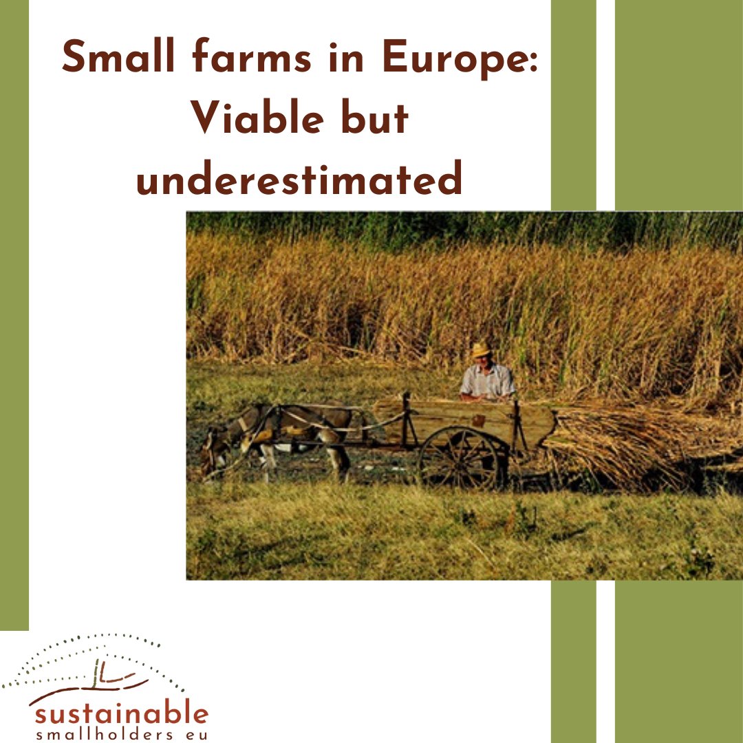 Sustainable Smallholders tweet media