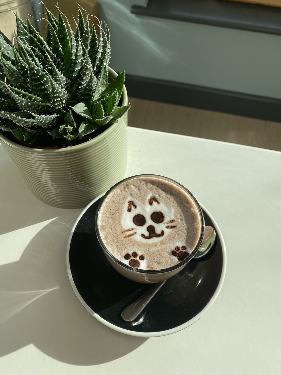 Kids go back to school tomorrow and we think Hive Cafe is the puuurfect spot for an after school treat! 🐱🍪☕️ #cafe #streatham #london #hotchocolate #kids #treat #afterschool #latteart #cat #plants #coffee #food #wow