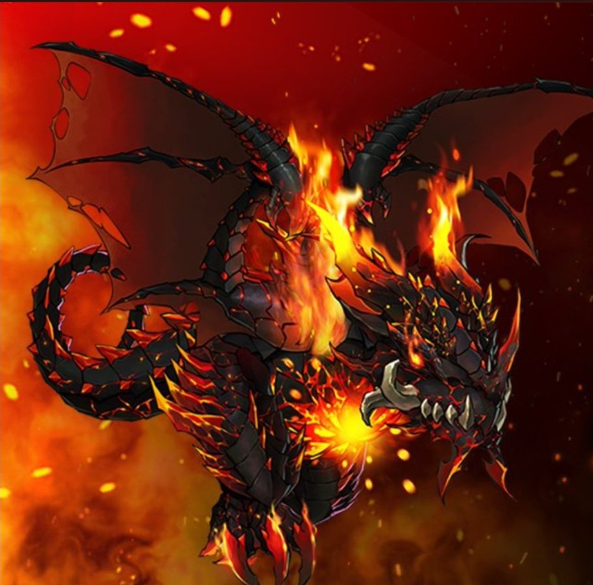 wa_billy's tweet photo. @RealPelleusLoK ＃Drago ＃LOK
Snowball＃3639 https://t.co/3q8DNf8bRX