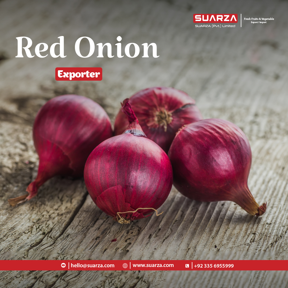 SUARZA on Twitter: SUARZA on Twitter: