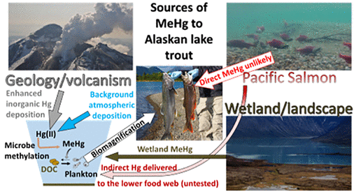 Environmental Science & Technology Journals tweet media
