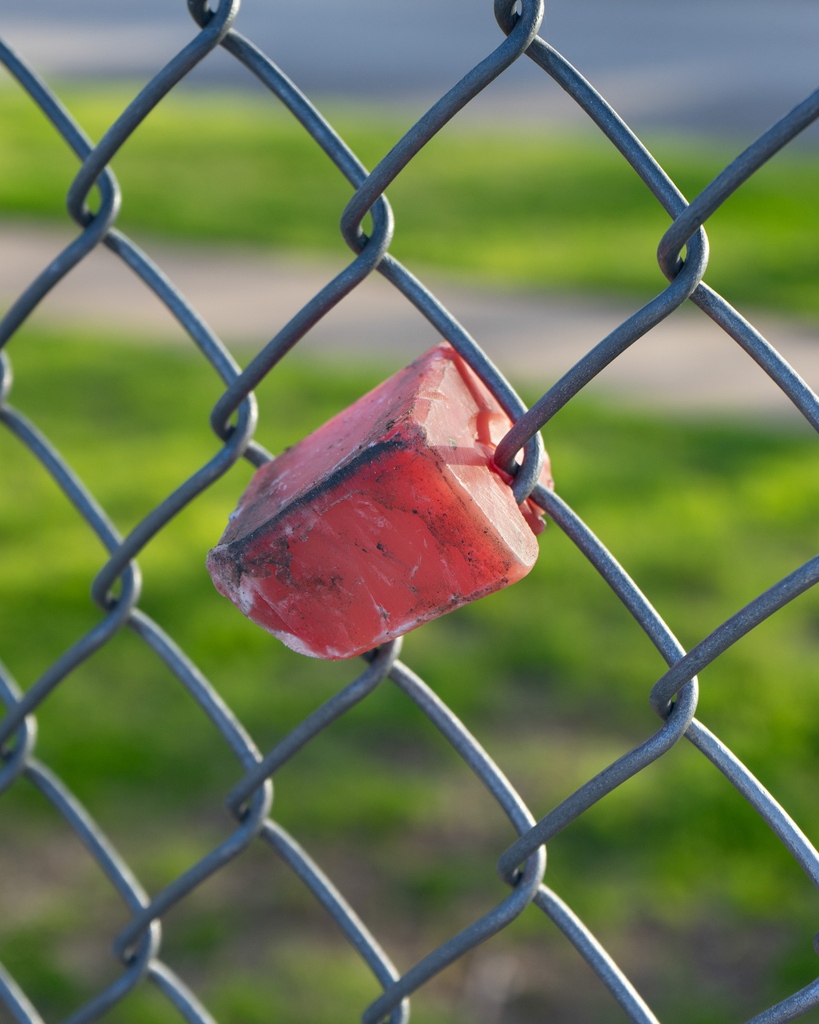 ACP Photo Festival tweet media