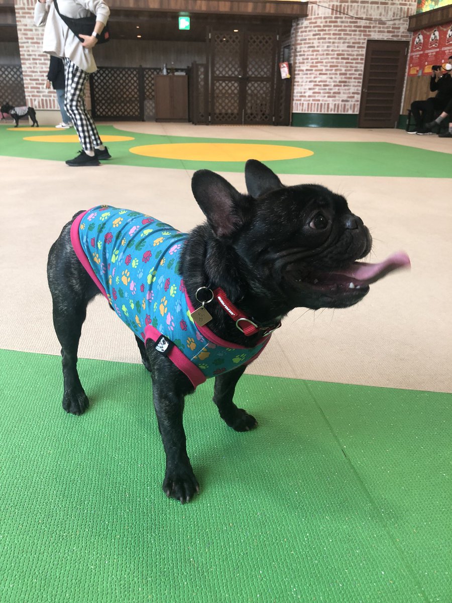 rui0905fb's tweet photo. 😍❤️🥰 https://t.co/jUxpnfS25G