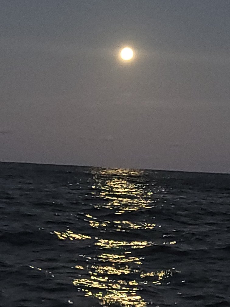 PerspicuousNews's tweet photo. Magnificent full moon rising over #SydneyHeads for #Easter.
#fullmoon #Eastermoon #SydneyHarbour #pinkmoon #Aprilfullmoon #peacefulness #relaxation #emotion #connection #mentalhealth https://t.co/RBmqcQUNMi