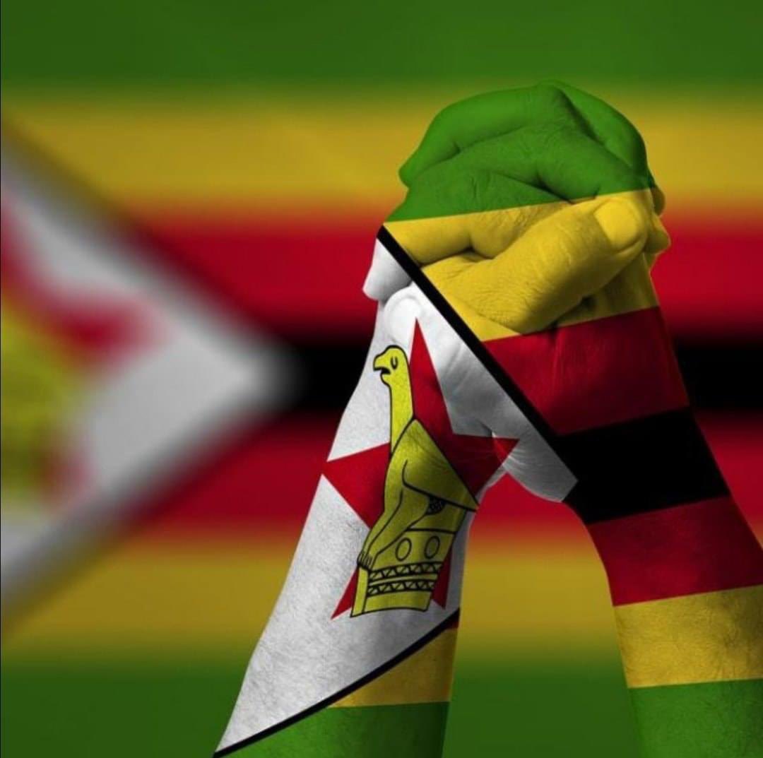 LMazoza's tweet image. Happy Independence day.
#Zim42