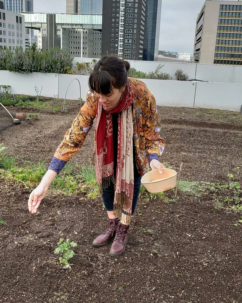 d_akkers's tweet photo. Proud to be a #rooftopfarmer 🌱‼️
#Farmingthecity 💚 #rooftopfarming on the #DakAkker on top of the #Schieblock officebuilding downtown #Rotterdam #CentralDistrict / @vrcd. 📸 @LydiaVanDeursen. https://t.co/3zg8WRNfz9