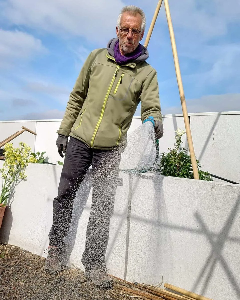 d_akkers's tweet photo. Proud to be a #rooftopfarmer 🌱‼️
#Farmingthecity 💚 #rooftopfarming on the #DakAkker on top of the #Schieblock officebuilding downtown #Rotterdam #CentralDistrict / @vrcd. 📸 @LydiaVanDeursen. https://t.co/3zg8WRNfz9