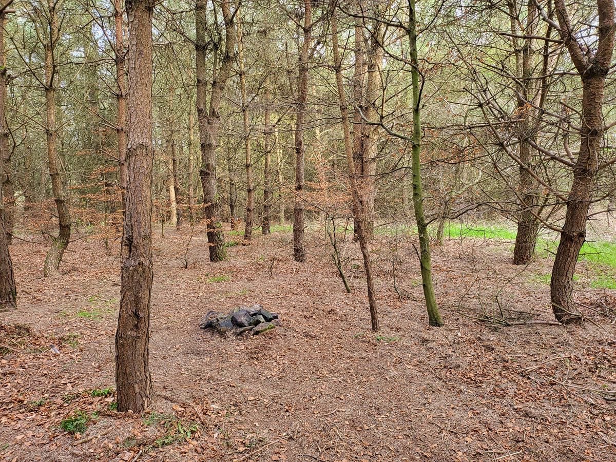 EasterBreich's tweet photo. ❗️🔥❗️

The photos here are from the weekend, unfortunately we found a group of people having a fire in the woods, but thankfully they were able to put it out when we approached them and asked. https://t.co/cNI84XJtQn