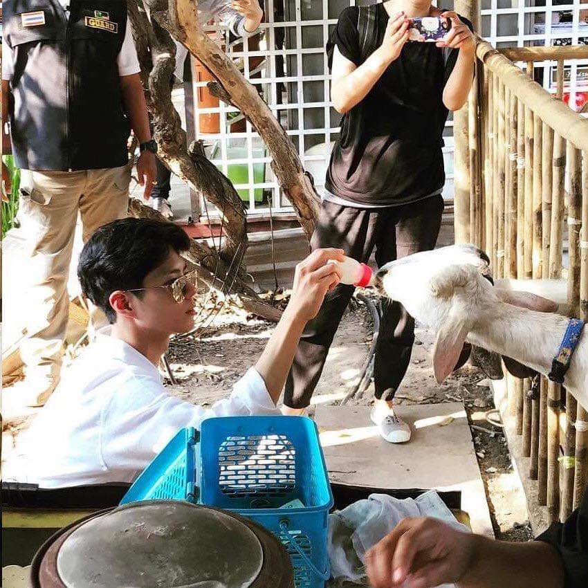 imnamepbg's tweet photo. what a lucky goat 😐 @BOGUMMY #ParkBoGum https://t.co/TLsGT3yJu7