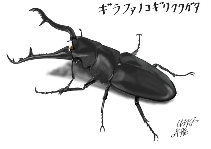 ノコギリクワガタのtwitterイラスト検索結果