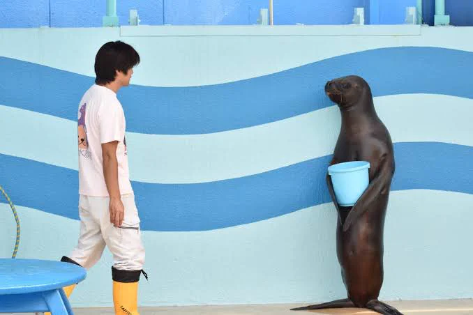 どっちが飼育員！？ｗｗ飼われていたのは人間だったのか。。