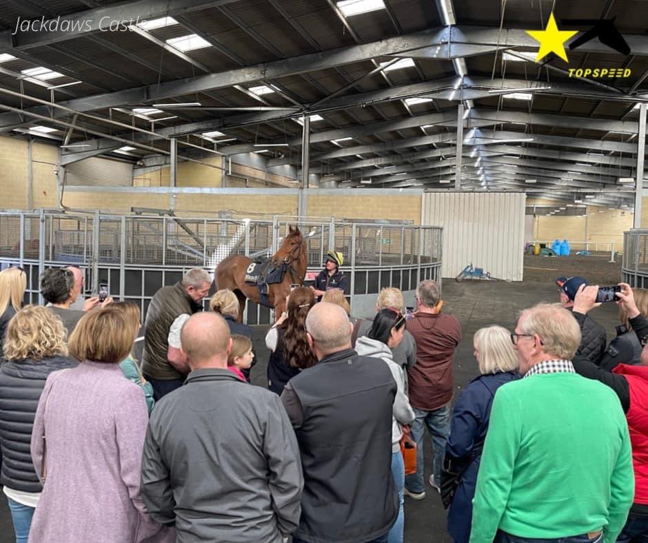 Racing_Clubs's tweet photo. We had a surprise guest during a recent yard visit to Jackdaws Castle.
Who’s a pretty girl then…👀
Keep an eye on our socials, this one you will not want to miss.
#NewSyndicate #Polly @JonjoONeill https://t.co/c72jkLffol