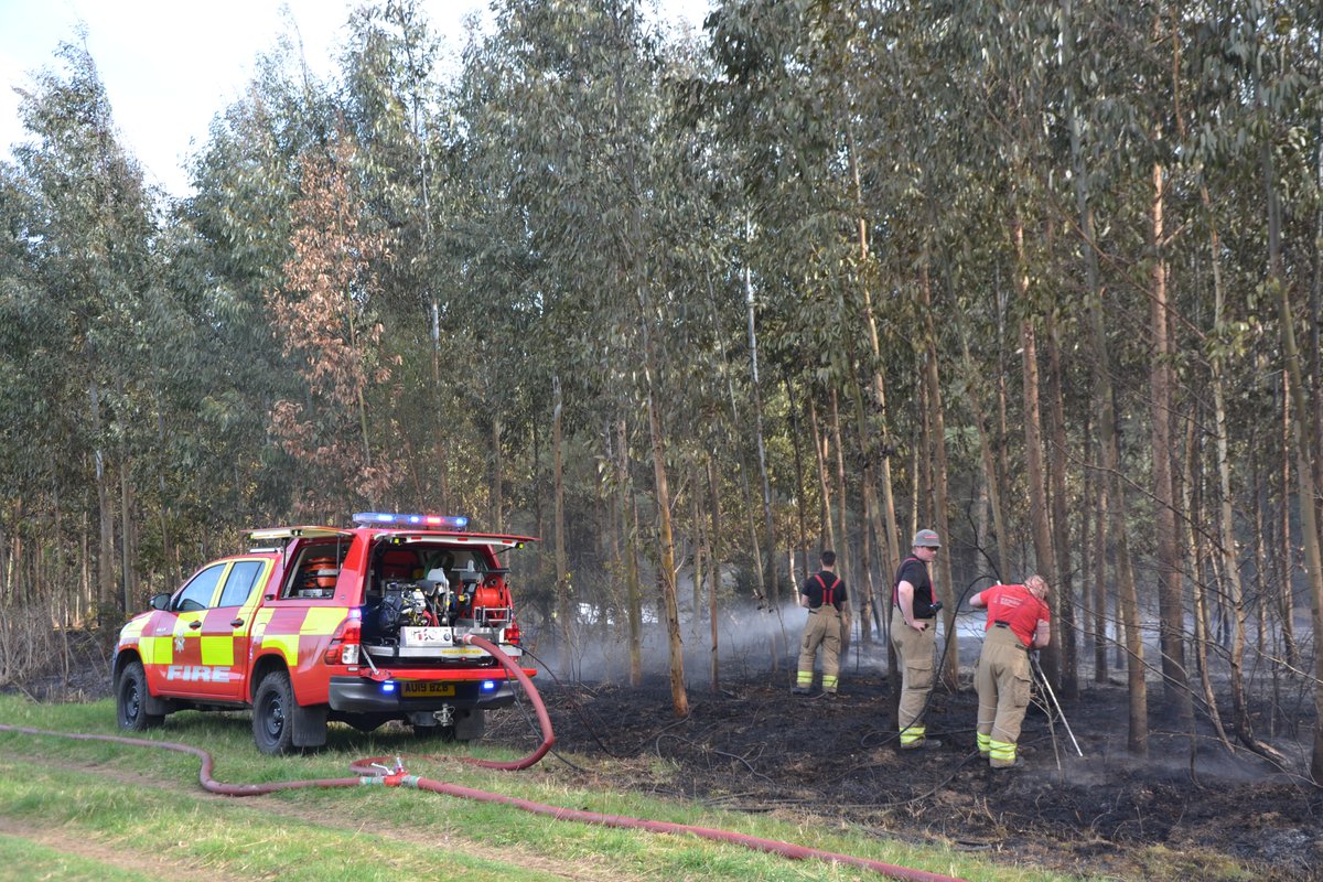 HCFirePhotos's tweet photo. The warm easter sunshine over weekend saw @Norfolkfire crews from #Methwold #Thetford #EastHarling #Watton #Wymondham and a Water Carrier from #Hethersett dealing with a large fire in forestry on Cranwich Heath. #bewildfireaware https://t.co/O5e6BO462S