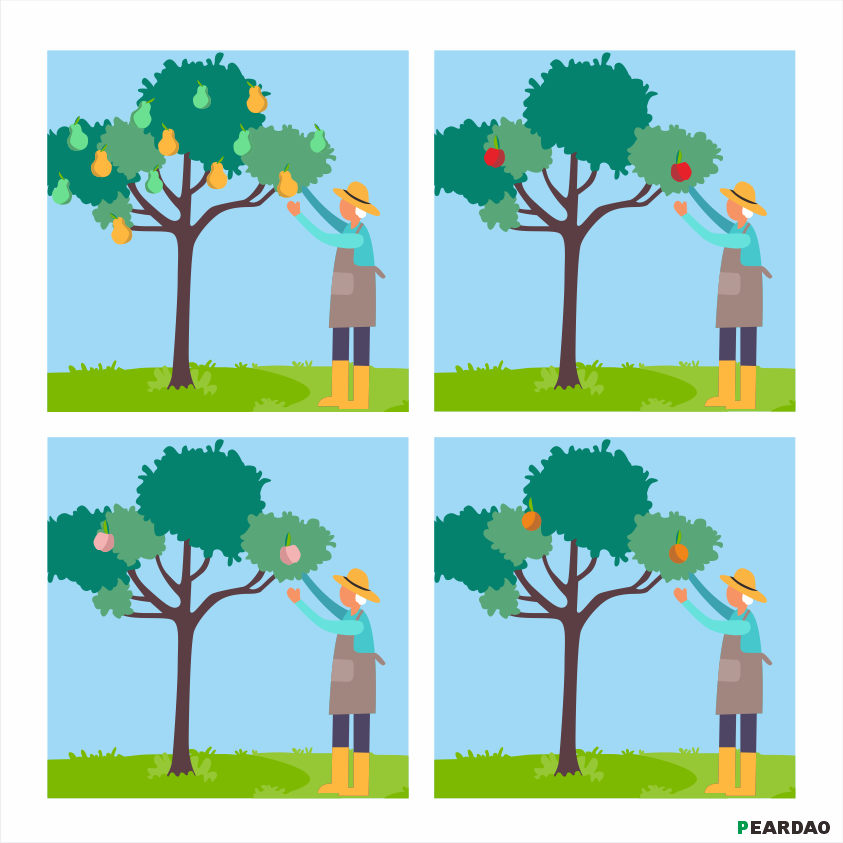 Trading on other P2P platforms:
Maker - Pays platform fee
Earn: Buy low and sell high

Trading on Pear:
Maker - 0 fee
Earn: Get $PEX reward with every completed trade

It's just a matter of time 🌱🍐