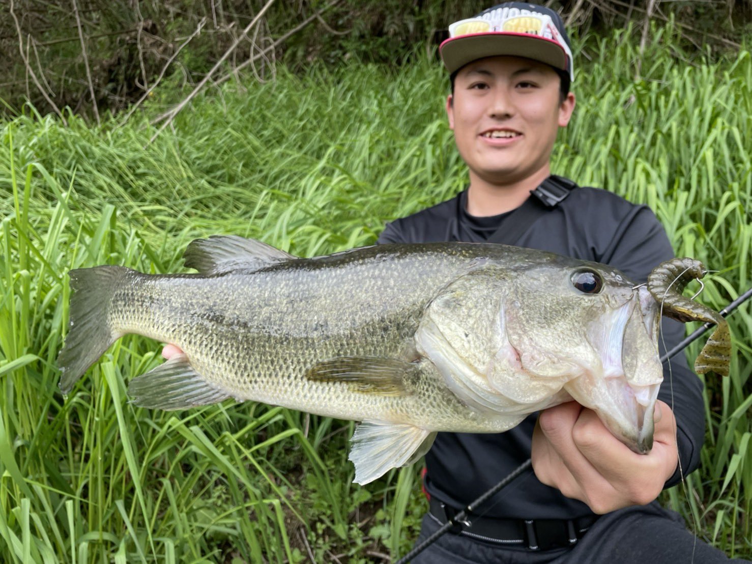 矢田貝優弥 ブルフラット3 8 ノムコーありがとう Deps デプス ブルフラット フリーリグ ブラックバス T Co 6h02lejxef Twitter