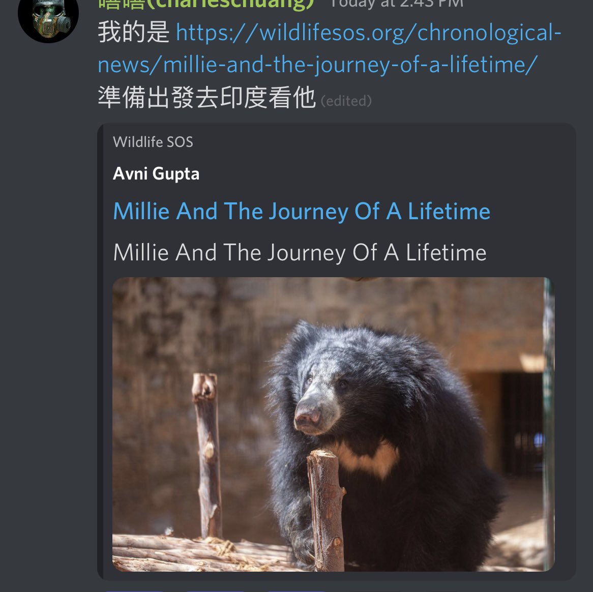 RealAnimals_RA's tweet image. RA NFT Holder ready to goto India to meet his matched animal “Millie”! @WildlifeSOS