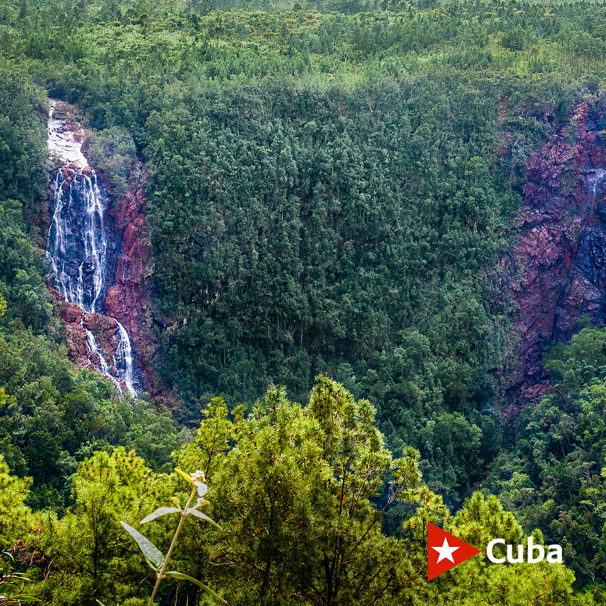 Kuba_FVA's tweet photo. Der Wasserfall von Guayabo in Holguin ist ein inspirierender Ort des Ökotourismus und hervorragende Symbol der kubanischen Natur. Seine zwei Wassersprünge und seine üppige Vegetation sind Bilder die man nicht vergisst
https://t.co/2OBmDlCblw
#CubaTuDestinoSeguro #Cuba #CubaTravel https://t.co/4PnxG8na3O