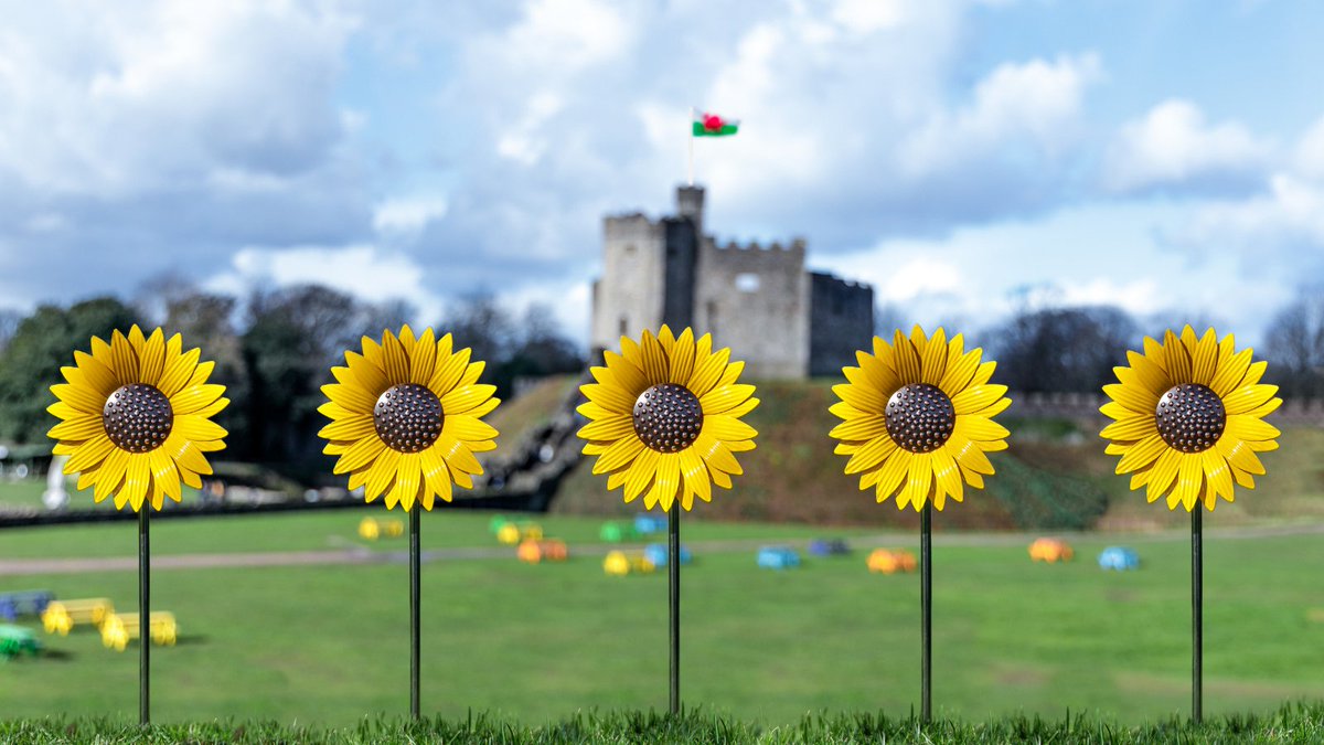 CityHospice's tweet photo. You can purchase your #ForeverFlower now in memory of someone you love to be part of our stunning display of ornamental #Sunflowers in @cardiff_castle this summer. After the display cherish your flower in a place that's special to you ๐ป๐ป
https://t.co/4MuWJyxJnZ https://t.co/mlaRMpq1BF