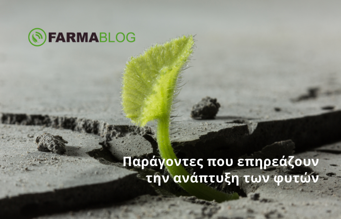 ⌛ Αντιμετώπιση εχθρών &amp; ασθενειών την σωστή στιγμή!
Διαβάστε περισσότερα στο Εβδομαδιαίο #Newsletter της #FARMACON
mailchi.mp/83993bcc5817/o…