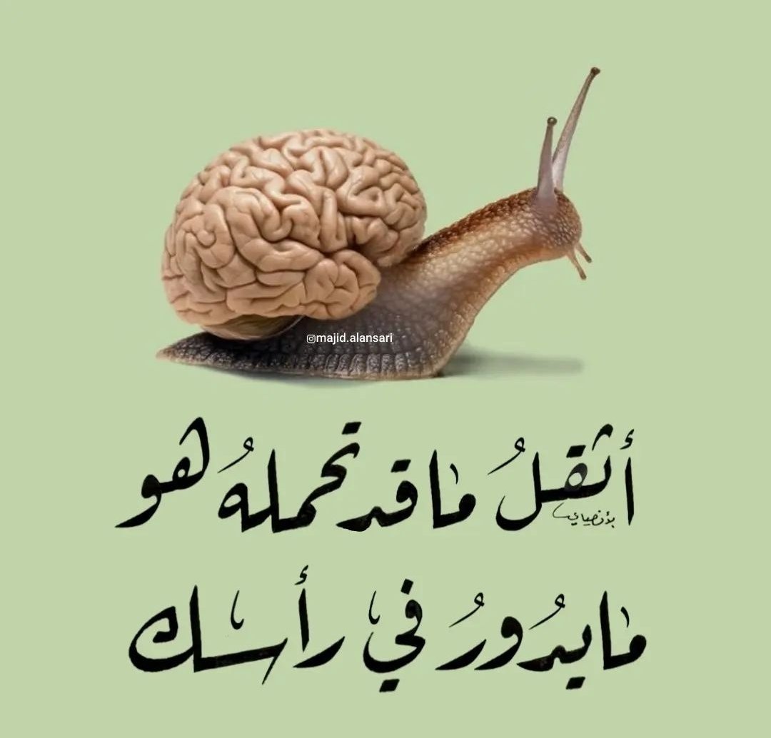 د. جاسم المطوع tweet media