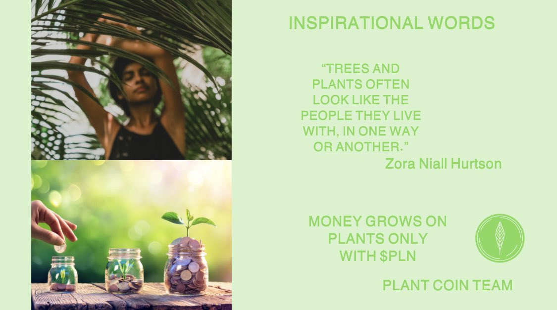 PLANT Currency 🌿🌿 tweet media