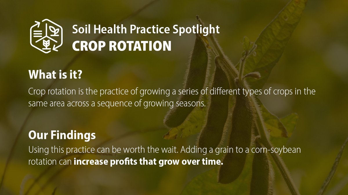 greenbeltca's tweet photo. For #NationalSoilConservationWeek, we are sharing the #ecomomic benefits of soil health practices. First up - Crop Rotation! ๐ฝ Adding a grain to a corn-soybean rotation can increase profits that grow over time.๐โฌ๏ธ Learn more in our recent report: https://t.co/Q0Fd3Sr8y9 https://t.co/I3O1AZOs9n