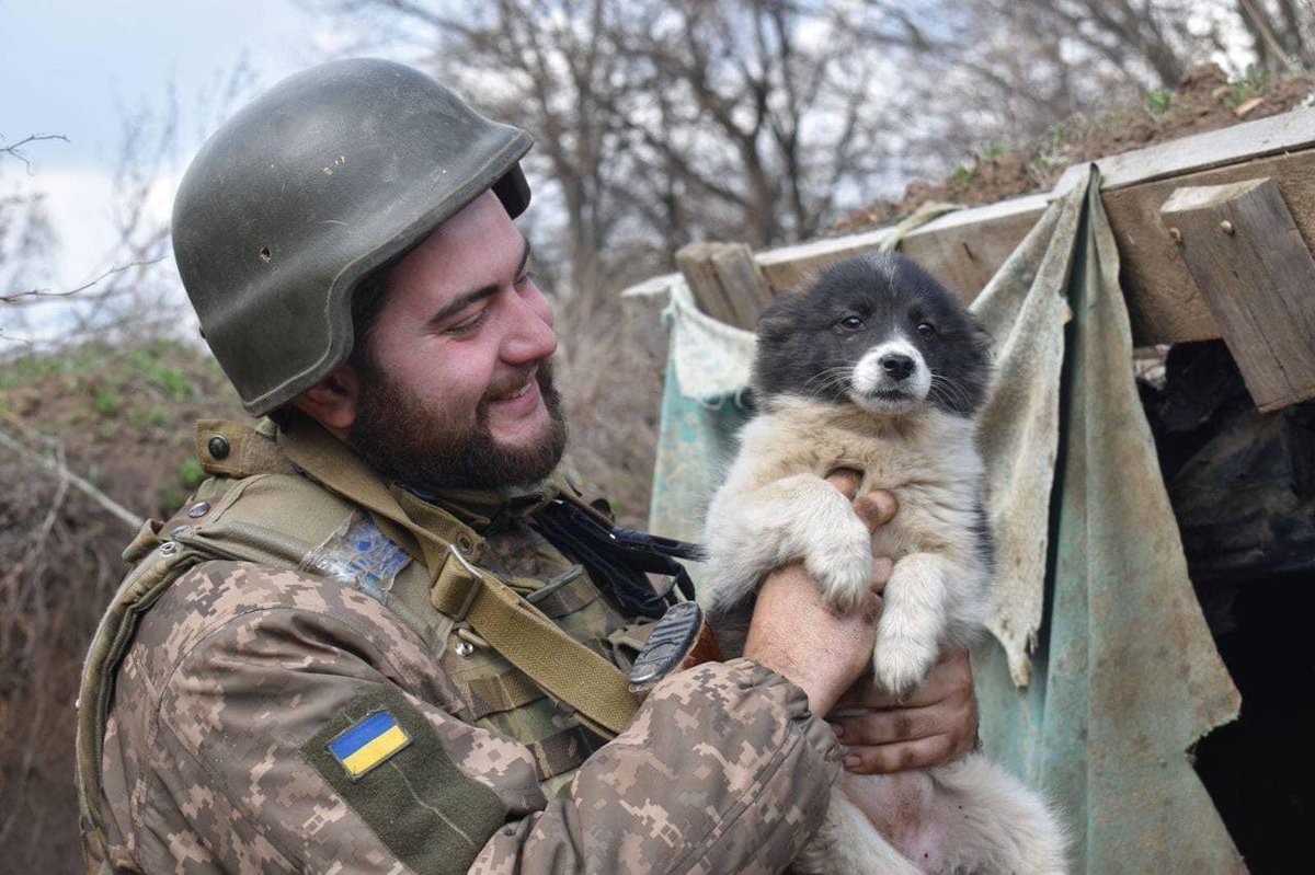 UKRINFORM tweet picture
