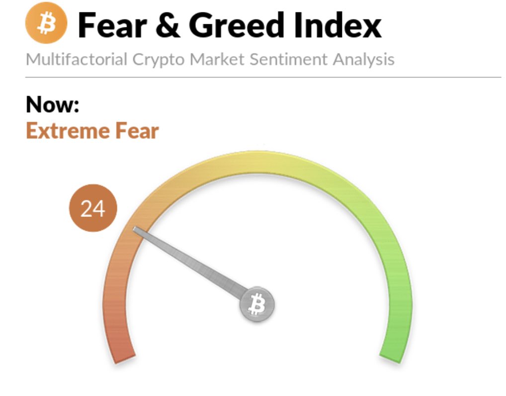 hodlonaut #BIP-110 tweet media