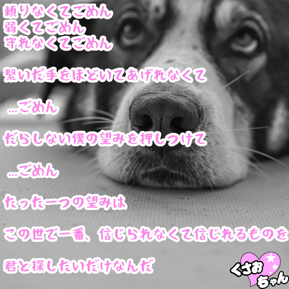 感動ポエム Twitter Search Twitter