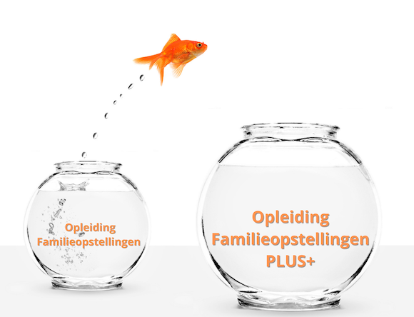 NIEUW: Opleiding Familieopstellingen PLUS+ 🎉👏😃 - mailchi.mp/a04554dbd810/n…