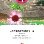 ツイートに含まれる画像