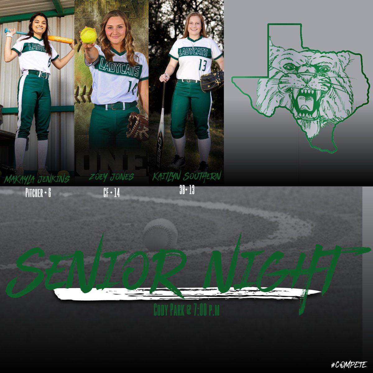 Santo Lady Cat Softball tweet media