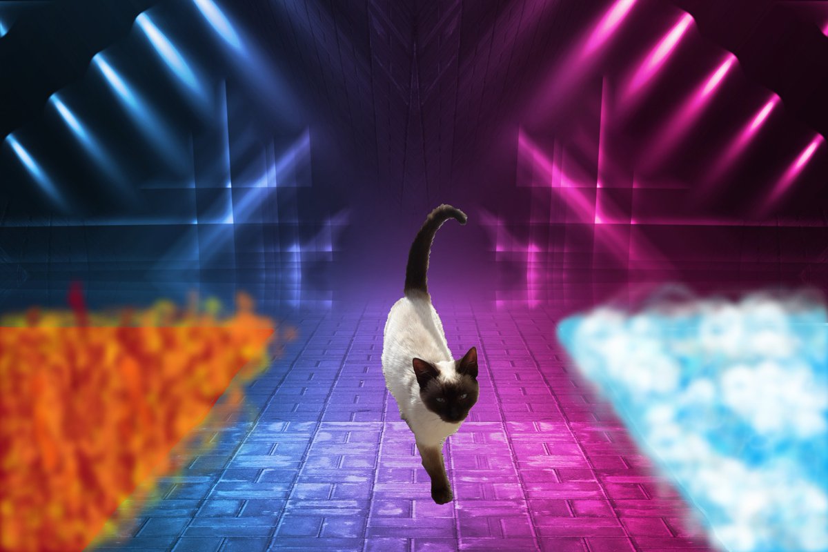 catdesigner9 tweet media