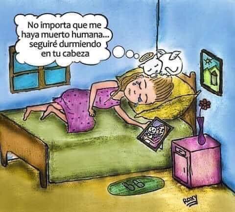 dforeror's tweet image. Te mando un abrazo enorme… y te comparto esta foto.