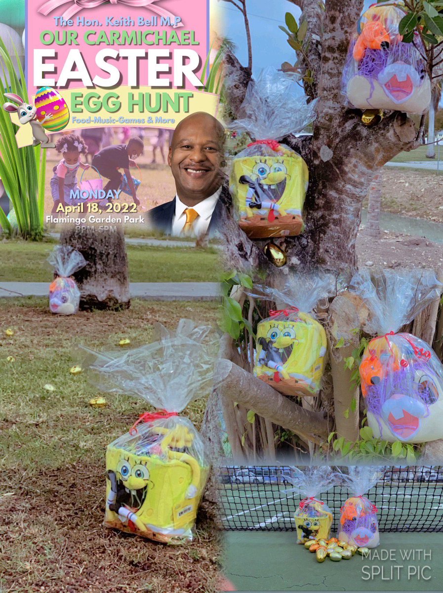 KeithBe27246508's tweet photo. Flamingo Park 3 pm to 5 pm https://t.co/G7iUu7Scjv