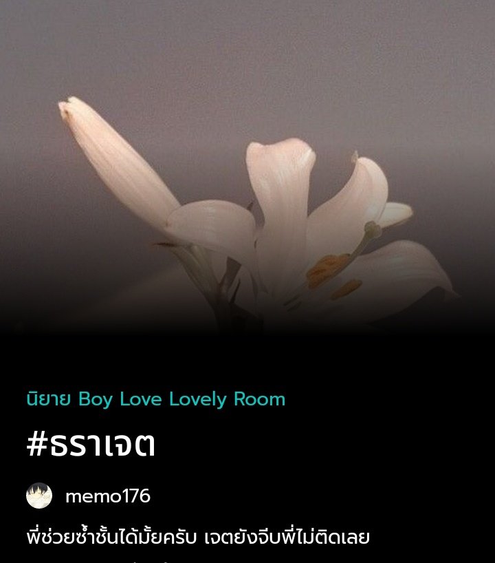 memo tweet media