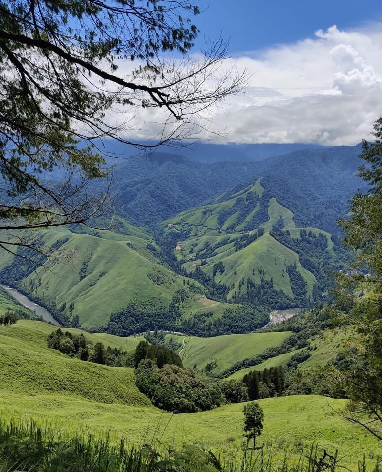ApedaRondo's tweet photo. The green desert! Mathu Valley landscape. 💕 https://t.co/0ZqJWdFeDE