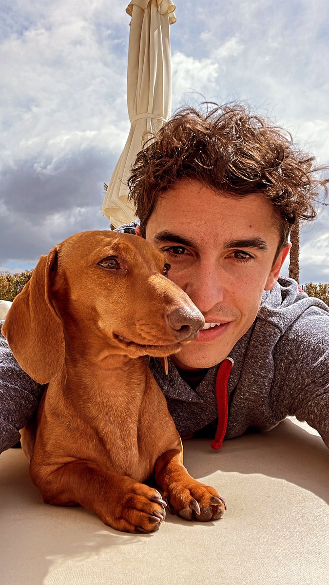 marcmarquez93's tweet photo. 🐶 #relax https://t.co/7LPXWfwfTT