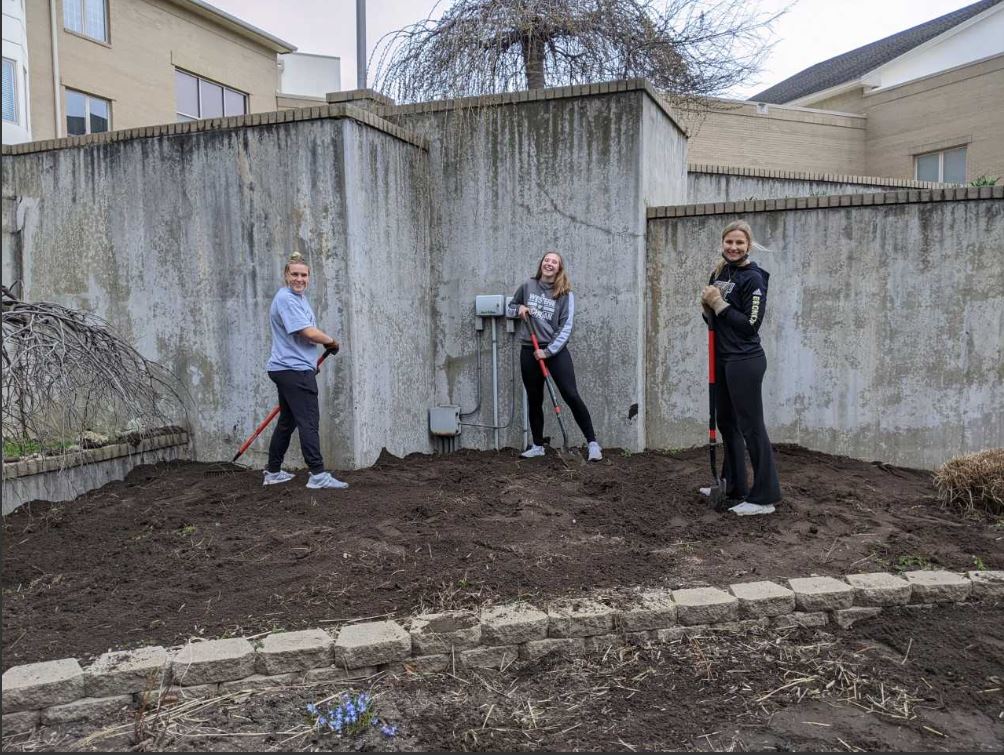 WMU Volleyball tweet media