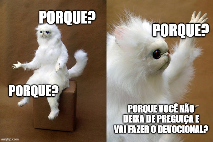crenteamigo's tweet photo. dia 178 https://t.co/UrGKaovQvg