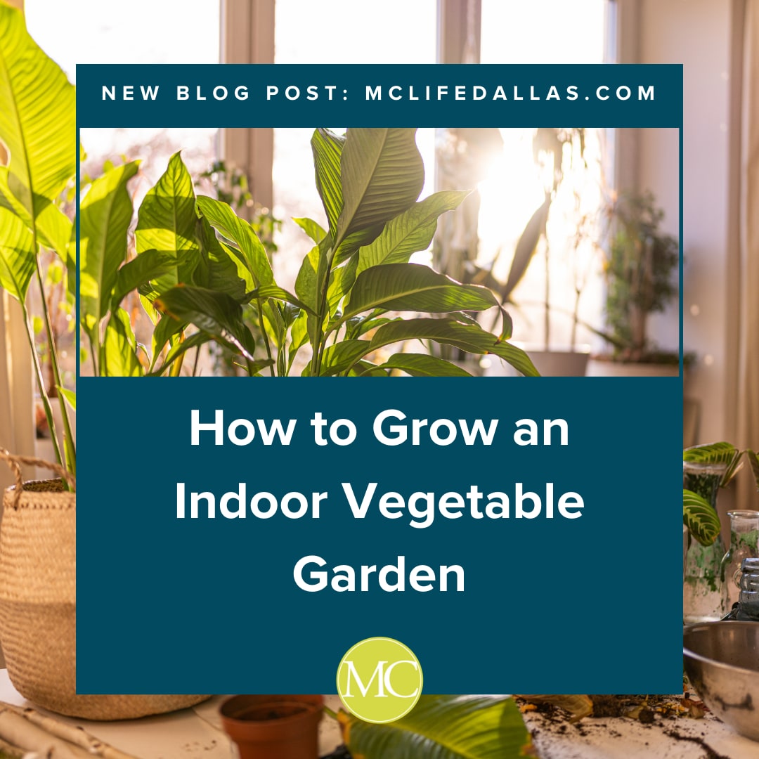 MC Residential tweet media