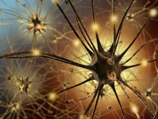 dlhampton's tweet photo. How Your Neurons Make You A #Nervous Wreck (and how to rewire them) https://t.co/wMGYwopai7

Your #brain learns to pair certain things with #fear, whether logical or not. The good news is that you can unlearn and lessen #anxiety.

#nerves #worry #mentalhealth #depression #Monday https://t.co/SCqiN5S6Jo