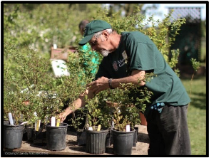 WSUClallam's tweet photo. Fill your garden with trusted greenery from the pros! Clallam's Master Gardeners Plant Sale, Saturday May7th, 9–3 p.m., 2711 Woodcock Road, Sequim. Locally-sourced &amp; Master Gardener-grown perennials, vegetable starts, native saplings, house plants, herbs, succulents &amp; more. https://t.co/yBHS99A6nG
