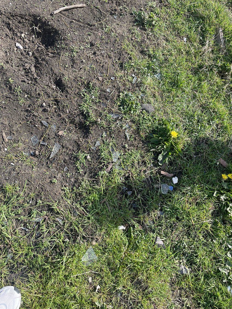 𝐶ℎ𝑒𝑙𝑠𝑒𝑎 𝐵𝑟𝑎𝑚𝑤𝑒𝑙𝑙 🦋 tweet media