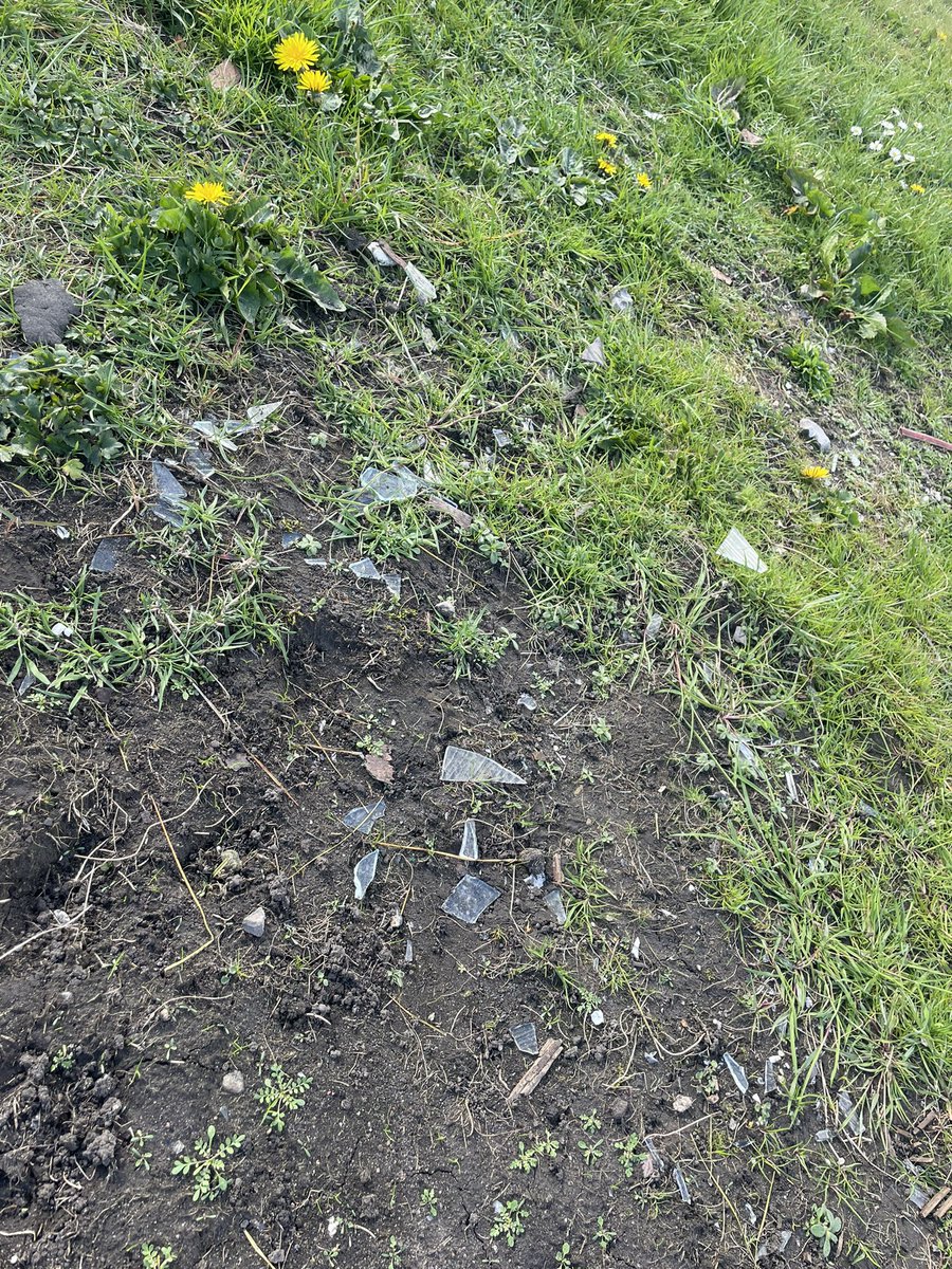 𝐶ℎ𝑒𝑙𝑠𝑒𝑎 𝐵𝑟𝑎𝑚𝑤𝑒𝑙𝑙 🦋 tweet media