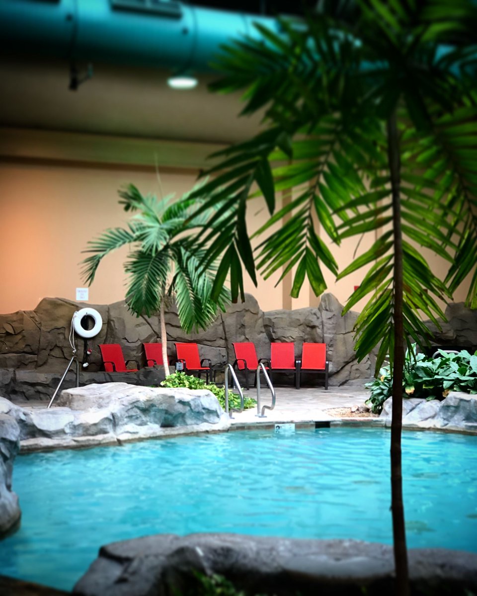 At Paragon, you’ll have exciting options to splash around in. 🏊 Which pool will you enjoy- our Quiz Quiz indoor pool or our outdoor Oasis Pool? #pool #indoorpool #resorts

bit.ly/35HJ0Kv