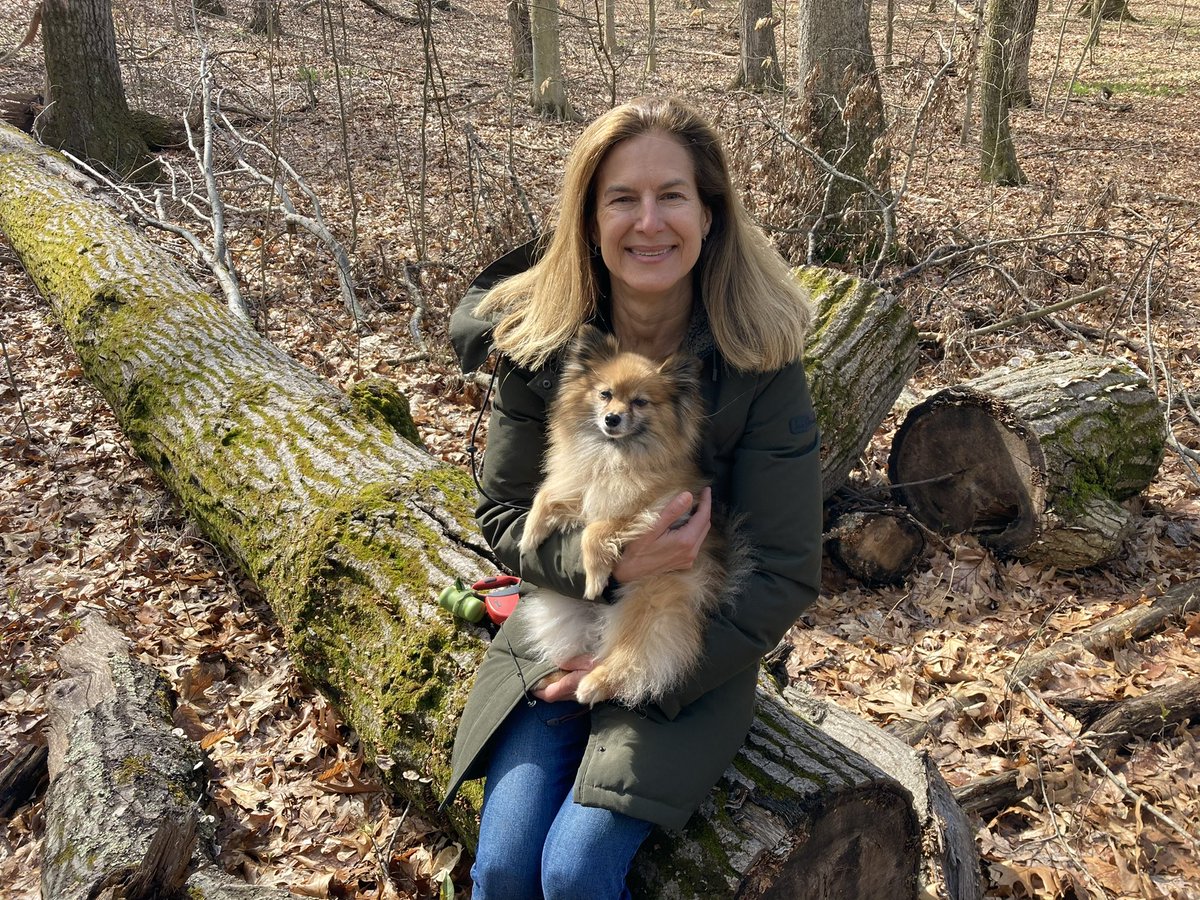 LGSusanB's tweet photo. With this gorgeous spring weather, it’s the perfect time to explore our state parks! 

Join me in @ConnDEEP’s Sky’s the Limit Hiking Challenge: https://t.co/2ukfAepeDs

Yoda, my daughter’s Pomeranian mix, had so much fun! #ctstateparks https://t.co/LhiL46X11P