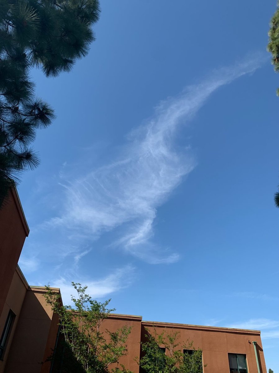 An Anteater-shaped cloud spotted over Middle Earth. 😲☁️🐜🍴

📷 by shane.ob_ via IG
