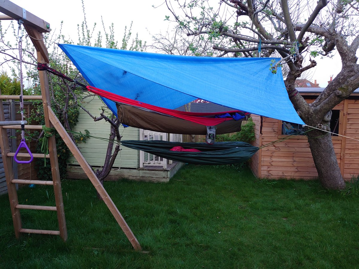 Angeline Lee tweet media